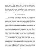 Referāts 'Rokmūzikas pārstāvji Latvijā 20.gadsimtā un rokmūzikas popularitāte mūsdienās', 7.