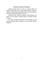 Biznesa plāns 'SIA "La Ortiga"', 5.