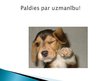 Biznesa plāns 'SIA "La Ortiga"', 29.