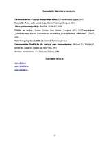 Referāts 'Plašsaziņas līdzekļi Latvijas politiskajā sistēmā', 17.