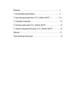 Prakses atskaite 'Отчет по практике на предприятии', 1.