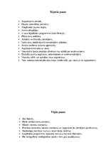 Konspekts 'Viesnīcas "Hilton" situācijas analīze', 4.