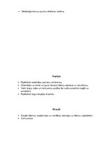 Konspekts 'Viesnīcas "Hilton" situācijas analīze', 5.