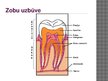 Prezentācija 'Zobu veselības dažādi aspekti', 3.