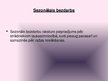Prezentācija 'Bezdarbs', 10.
