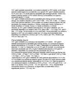 Referāts 'Eksports, imports Latvijā (2004-2006)', 4.