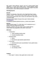 Referāts 'Tūrisma nozares uzņēmuma "Hotel Jelgava" mārketinga plāns', 7.