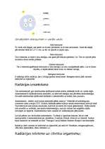 Konspekts 'Radiācija', 2.