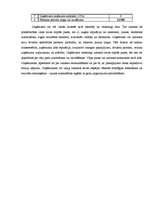 Konspekts 'Investīciju analīze uzņēmumā', 6.