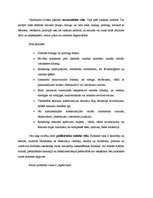 Konspekts 'Runas mākslas stili', 2.