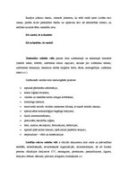 Konspekts 'Runas mākslas stili', 7.