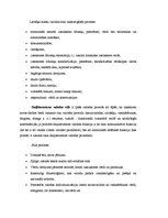 Konspekts 'Runas mākslas stili', 8.