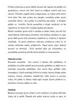 Referāts 'Sports', 2.