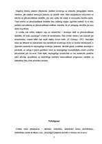 Referāts 'Nepilngadīgo delikvence sociālajā vidē', 11.