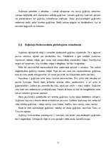 Referāts 'Guļbūvju aktualitāte mūsdienās. Tradicionālo darbarīku un tehnoloģiju pielietoju', 11.
