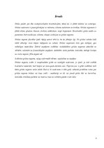 Konspekts 'Grīdas segumi un grīdas krāsas interjerā', 3.