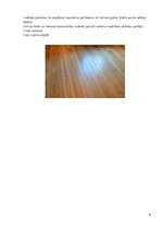 Konspekts 'Grīdas segumi un grīdas krāsas interjerā', 9.