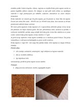 Konspekts 'Grīdas segumi un grīdas krāsas interjerā', 14.