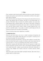 Konspekts 'Grīdas segumi un grīdas krāsas interjerā', 19.