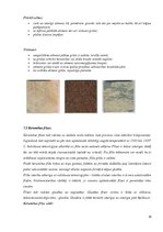 Konspekts 'Grīdas segumi un grīdas krāsas interjerā', 20.