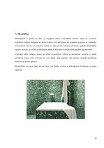 Konspekts 'Grīdas segumi un grīdas krāsas interjerā', 23.