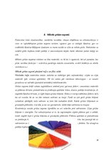 Konspekts 'Grīdas segumi un grīdas krāsas interjerā', 24.