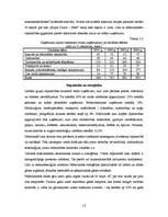 Referāts 'Nīderlande', 12.