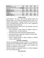 Referāts 'Nīderlande', 15.