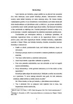 Referāts 'Birokrātija', 2.