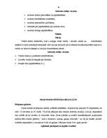 Referāts 'Etniskā diskriminācija Latvijā', 24.