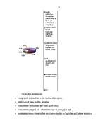 Referāts 'Etniskā diskriminācija Latvijā', 33.