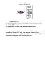 Referāts 'Etniskā diskriminācija Latvijā', 34.