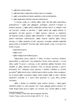 Referāts 'Matemātikas mācību satura apguve 2-3 gadus veciem bērniem lietpratīgās izglītība', 12.