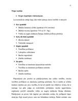 Biznesa plāns 'Biznesa plāns', 11.