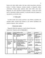 Biznesa plāns 'Biznesa plāns', 12.