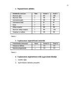 Biznesa plāns 'Biznesa plāns', 17.