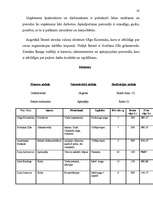 Biznesa plāns 'Biznesa plāns', 19.