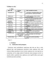 Biznesa plāns 'Biznesa plāns', 21.