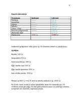 Biznesa plāns 'Biznesa plāns', 23.