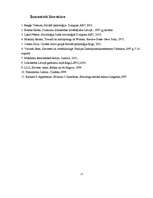 Referāts 'Dzimumu nevienlīdzība', 17.