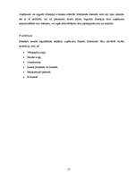 Diplomdarbs 'FOREX tirgus uzņēmuma brīvo naudas līdzekļu pārvaldībā', 12.