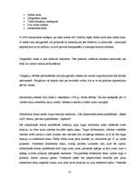 Diplomdarbs 'FOREX tirgus uzņēmuma brīvo naudas līdzekļu pārvaldībā', 35.