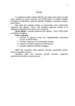 Referāts 'SVID analīzes un attīstības stratēģijas izstrādāšana', 3.