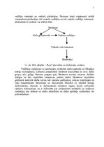Referāts 'SVID analīzes un attīstības stratēģijas izstrādāšana', 5.