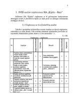 Referāts 'SVID analīzes un attīstības stratēģijas izstrādāšana', 8.