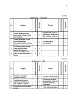 Referāts 'SVID analīzes un attīstības stratēģijas izstrādāšana', 9.