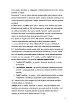 Konspekts 'Maksa Vēbera devums socioloģijā', 3.