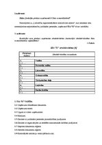 Prakses atskaite 'Lietvedības prakses atskaite', 7.