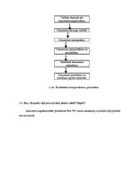 Prakses atskaite 'Lietvedības prakses atskaite', 13.