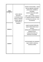 Prakses atskaite 'Lietvedības prakses atskaite', 15.